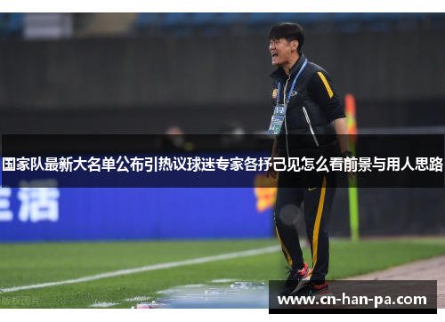 国家队最新大名单公布引热议球迷专家各抒己见怎么看前景与用人思路